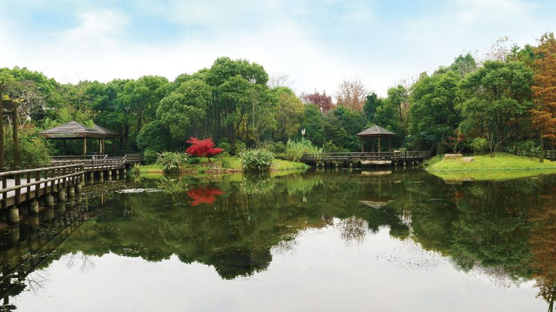 揭秘：假山喷泉厂家排名背后的秘密**