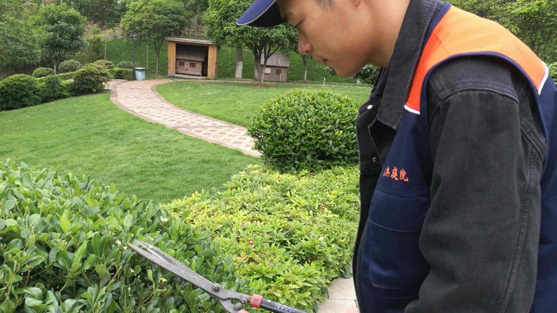 园林景观设计效果图与施工图：区别与关键要素