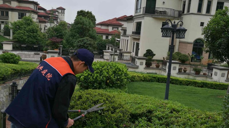 学校人工草坪铺设：施工价格背后的考量因素