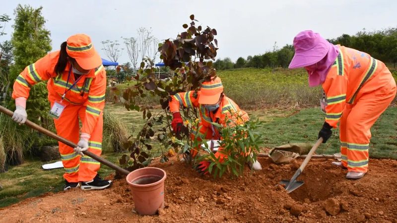 小型园林公司注册，成本几何？关键因素揭秘**