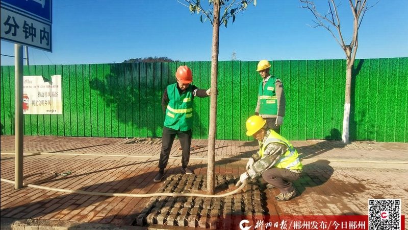 花卉租摆，如何选择排名前十的公司？**