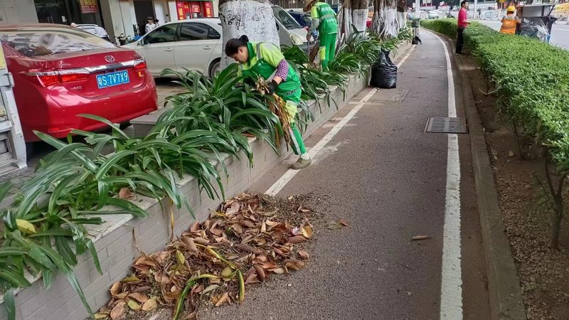屋顶绿化荷载计算标准：关键因素与计算方法**