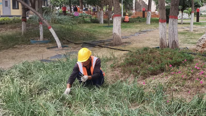 绿化资质项目规模限制解读：合规之路的流程与步骤**