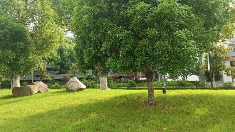 防腐木庭院设计图解析：如何打造理想家园**