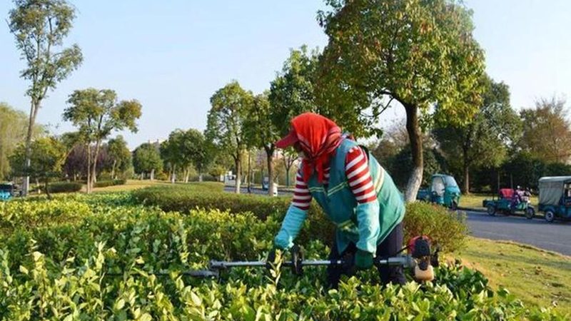 防腐木庭院设计：包工包料，价格如何合理选择？**