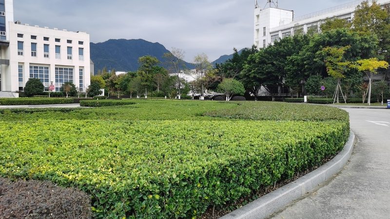 草坪养护，修剪车选型指南：如何挑选合适的草坪修剪设备